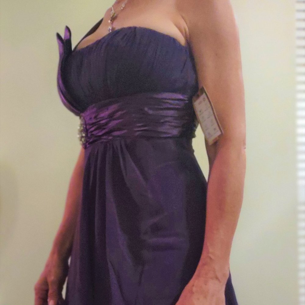 NWT Faship deep purple colored one shoulder evening dress. Size 0 and size 2